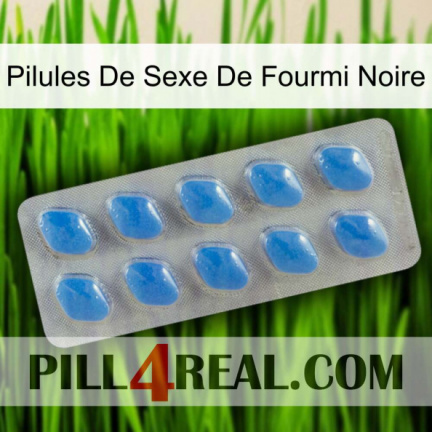 Black Ant Sex Pills 22